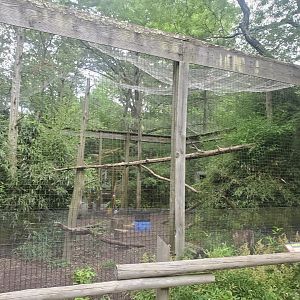 Bergen County Zoo (2022) - Andean Condor enclosure