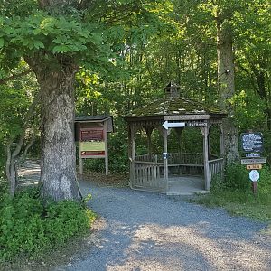 The Raptor Trust (2022) - Entrance