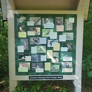 The Raptor Trust (2022) - Local feeder birds of New Jersey