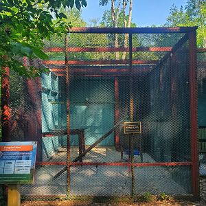 The Raptor Trust (2022) - Peregrine Falcon enclosure