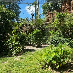Lion-tailed Macaque Exhibit