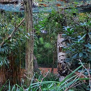 Typical Plzen Zoo bird-aviary
