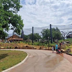 Jaguar exhibit on South American loop