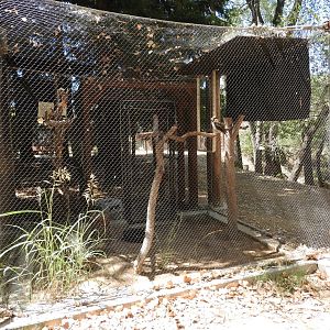 Laughing Kookaburra Exhibit