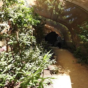Butterfly House interior