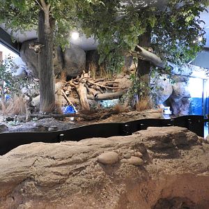 View towards aquariums from River Lab