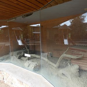 Meerkat indoor enclosure