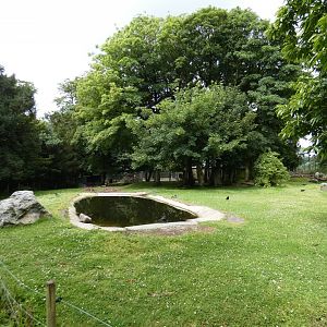 Brazilian tapir, Capybara and Rhea enclosure