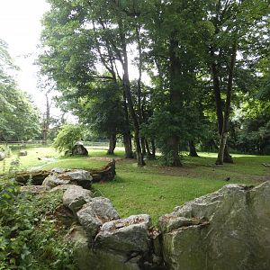 Brazilian tapir, Capybara and Darwin's rhea enclosure (2)