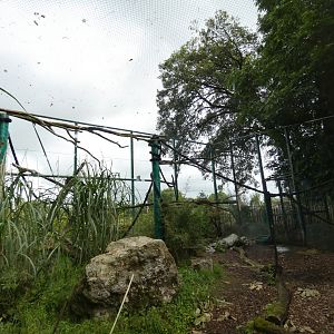 Blue-and-yellow macaw aviary