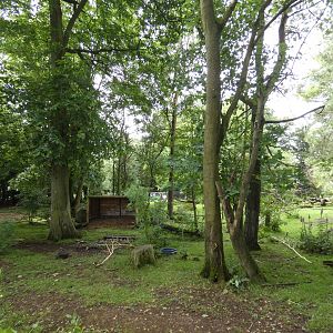 Second Brazilian tapir, Capybara and Darwin's rhea enclosure