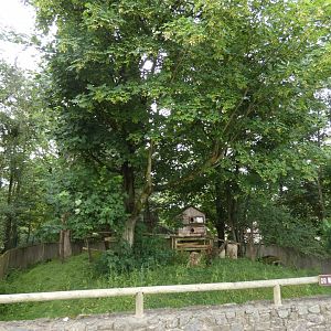 Former Red panda enclosure
