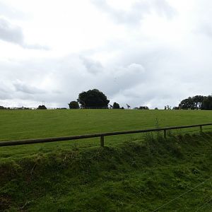 African savannah (2)