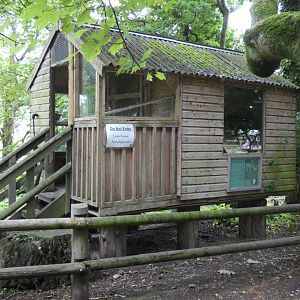 House for the free-ranging lemurs