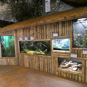 Madagascan vivariums