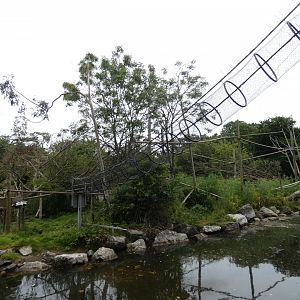 Black-and-white ruffed lemur enclosure