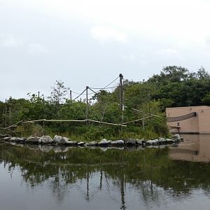 Lion-tailed macaque island and house