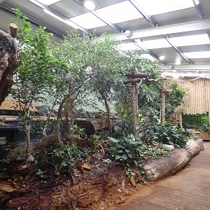View in Tropical house