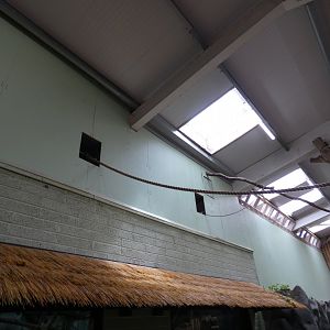 Hatch for the Two-toed sloths to roam the Tropical house