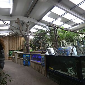 View of Tropical house (2)