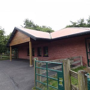 Visayan warty pig and Philippine spotted deer house