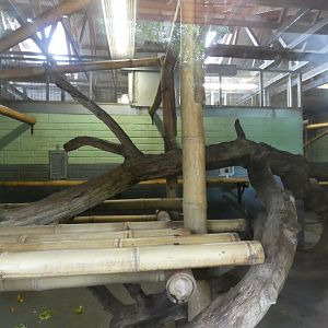 Lion-tailed macaque indoor enclosure in the Asian Sanctuary
