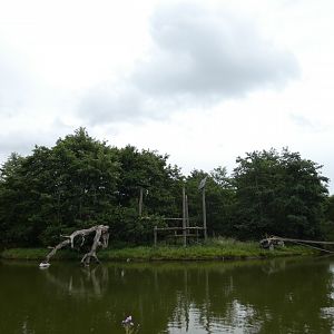 Francois' langur island
