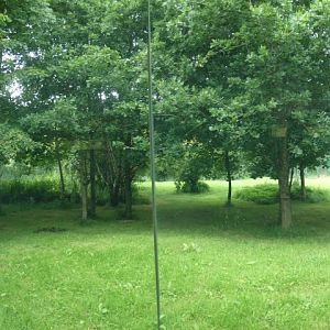 Asiatic lion enclosure panorama