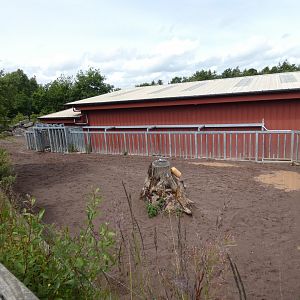 Greater one-horned rhino smaller enclosure
