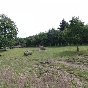 Greater one-horned rhino larger enclosure (3)