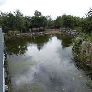 Greater one-horned rhino female enclosure (2)