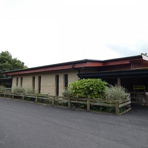 Greater one-horned rhino house