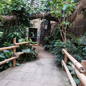 Free-flying part of the birdhouse