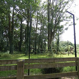 Sumatran tiger enclosure (2)