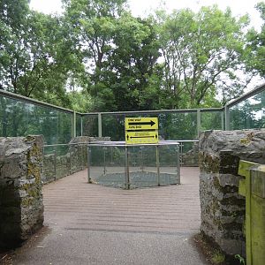 Sumatran tiger limestone viewing area