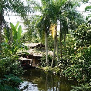 General view in Godwanaland