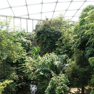 General view in Godwanaland