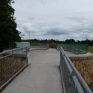 African savannah viewing area