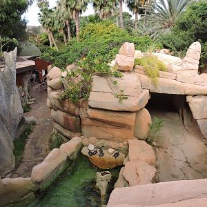 Overview of winding path through Reptilarium