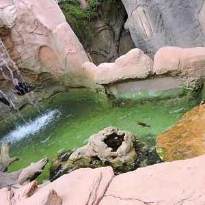 Invasive Species Exhibit