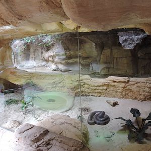 Reptilarium - immersion attempt?