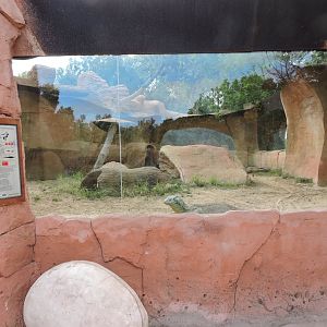 Second Komodo Exhibit