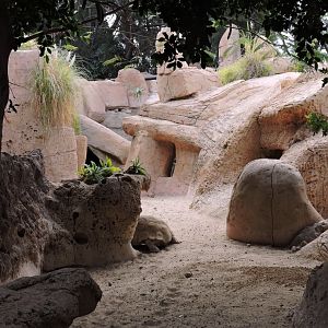 Aldabra Tortoise exhibit in Reptilarium