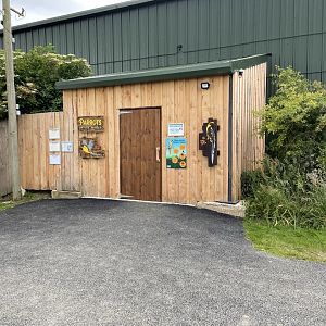 Parrots of the World