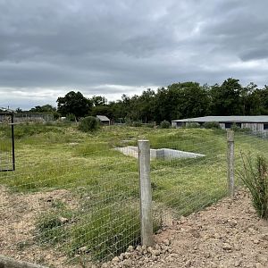 New capybara enclosure