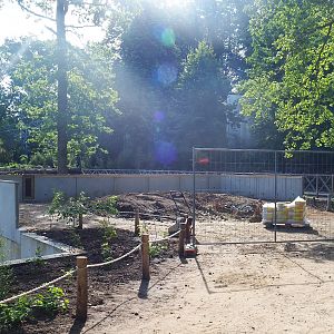 Area next to island not connected to Asian greenhouse - Future viewing area or future indoor exhibit? - 2022-07-03