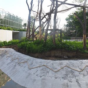 Sumatran orangutan island (Not yet in use), 2022-07-03