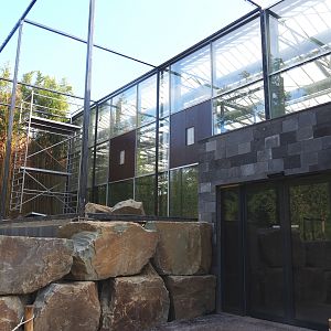 Future Wrinkled hornbill, Sclater's crowned pigeon and Common hill myna outdoor aviary, 2022-07-03