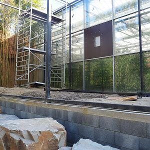 Future Wrinkled hornbill, Sclater's crowned pigeon and Common hill myna outdoor aviary, 2022-07-03