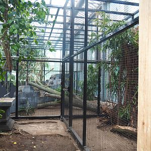 Future Wrinkled hornbill, Sclater's crowned pigeon and Common hill myna indoor and separation aviaries, 2022-07-03